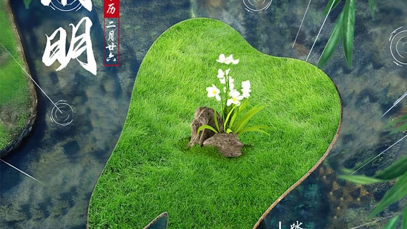 冷光牙齿美白：家用还是医院？价格与效果解析